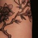 tattoo galleries/ - 