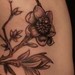 tattoo galleries/ -  - 45430