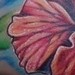 Tattoos - Color hibiscus flowers - 37026