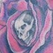 tattoo galleries/ - Skully Rose - 49502