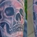tattoo galleries/ - Skeleton with Rose Tattoo