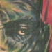 tattoo galleries/ - The Mummy
