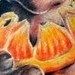 tattoos/ - orange peel tattoo - 49749
