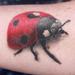tattoo galleries/ - Color Ladybug Tattoo - 60514