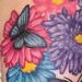 tattoo galleries/ - Color Flower and Butterfly Tattoo - 60908