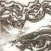 tattoo galleries/ - Darwin Sketch
