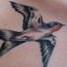tattoo galleries/ - Swallow Tattoo  - 63965