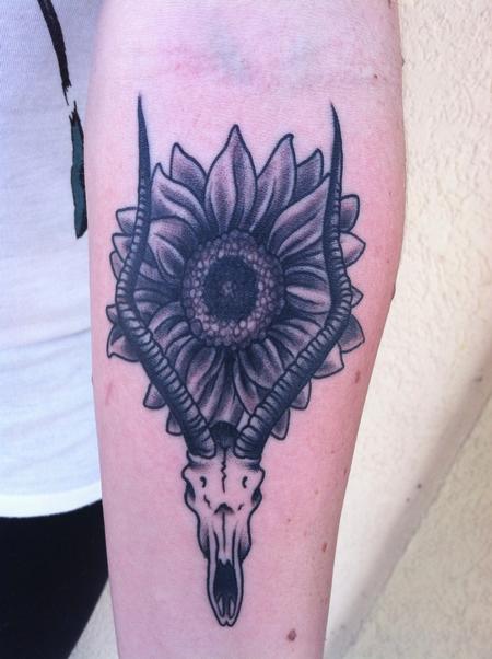 Dan Berk - Sunflower Antelope Skull