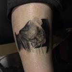 Tattoos - Heath Ledgers Joker - 115425