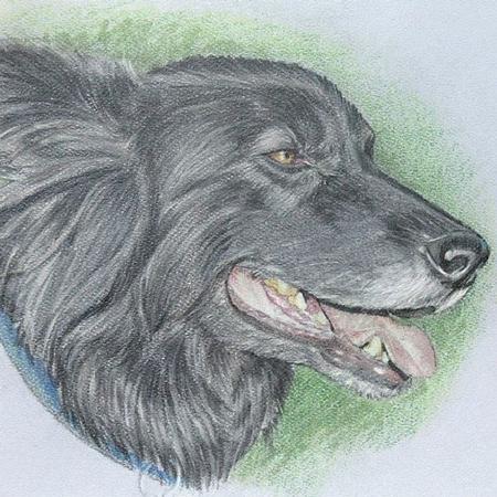 Tattoos - Dog - 106193