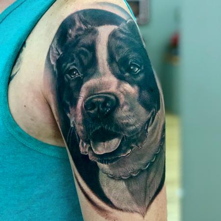 Tattoos - Pit Bull Portrait - 131412