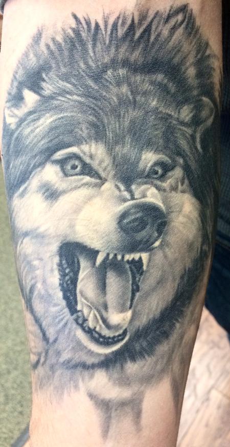 Edward Lott - Healed wolf