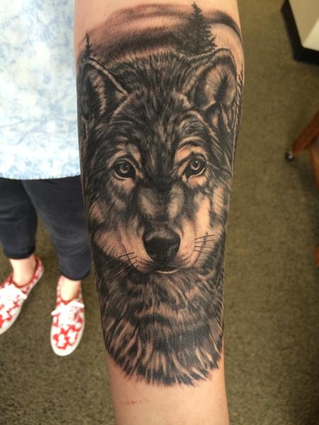 Edward Lott - Wolf cover up