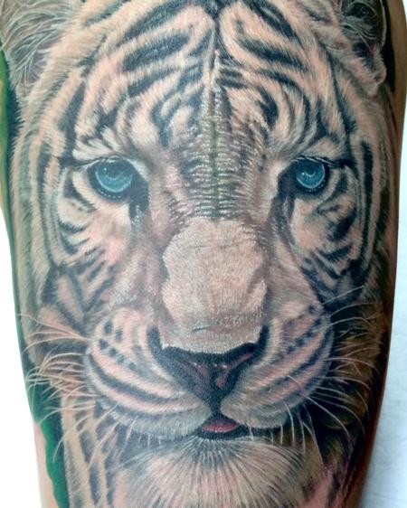 Edward Lott - White Tiger