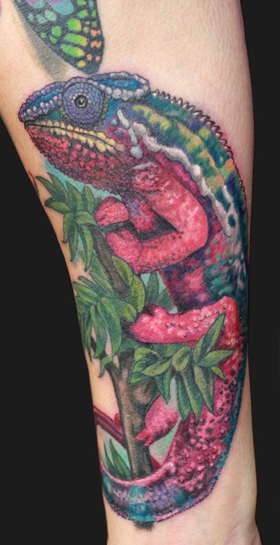 Katelyn Crane - chameleon tattoo
