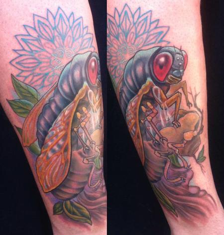 Katelyn Crane - Cicada Molting Tattoo