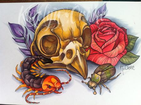 Katelyn Crane - Owl Skull, Rose and Bugs.