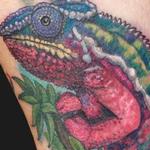 Tattoos - chameleon tattoo - 102430