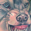 Tattoos - Wolf tattoo - 89386