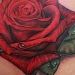Tattoos - Rose tattoo - 102431