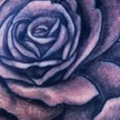 Tattoos - Black and grey rose tattoo - 69071