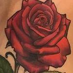 Tattoos - Rose Memorial  - 132586