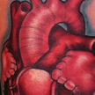 Tattoos - Anatomical human heart tattoo - 70347