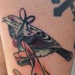 Tattoos - Bird Sitting on a Hand - 99626
