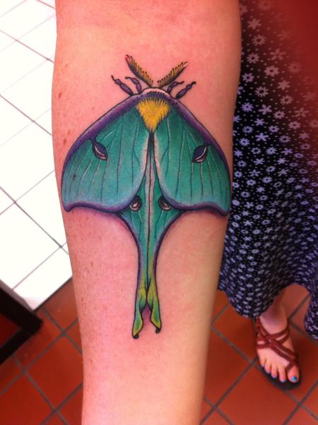 Tattoos - Traditional Moth Tattoo   - 100653