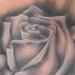tattoos/ - Black and Gray Rose Tattoo - 61316