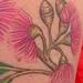 tattoo galleries/ - Custom Flower Tattoo - 60555