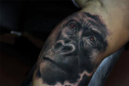 Tattoos - Gorilla - 101782