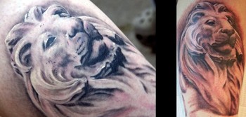 Gray Lion