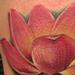 tattoos/ - Little Lotus - 62735