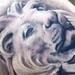 tattoo galleries/ - Black and Gray Lion Tattoo
