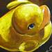 tattoo galleries/ - Rubber Duckie