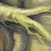 Art Galleries - Mandrake - 55968