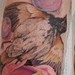 tattoo galleries/ - Bird and Rose Tattoo