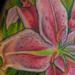 tattoo galleries/ - lilly - 59075