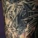 Tattoos - tiger - 76261