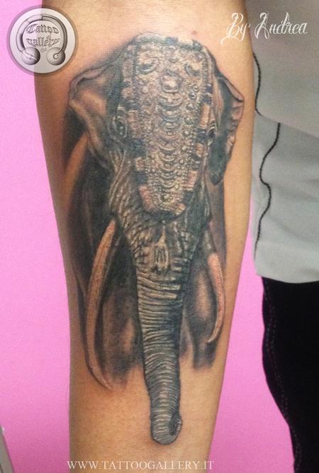 Tattoos - Elefante indiano - 101158