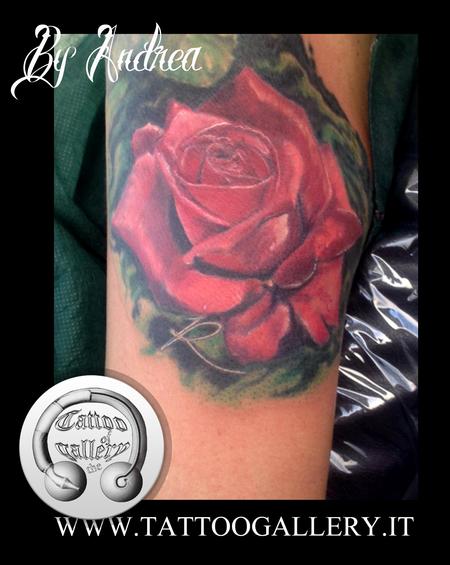 Tattoos - rosa rossa, red rose - 100127