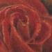 red rose Tattoo Design Thumbnail