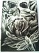 Tattoos - peony skull colaboration - 47052