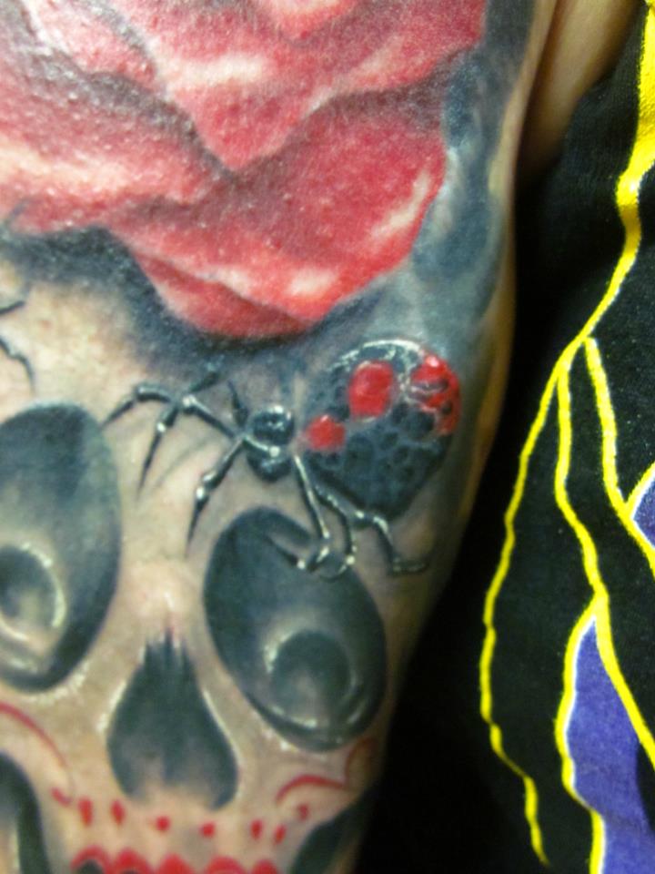 Tattoos - spider - 66630