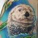 tattoo galleries/ - Otter and Seaweed tattoo - 62803