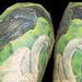 tattoo galleries/ - Bird allegory sleeve - 62805