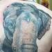 tattoo galleries/ - Elephant - in progress