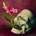 Memento Mori Art Thumbnail