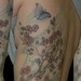 tattoo galleries/ - Cherry blossoms tattoo